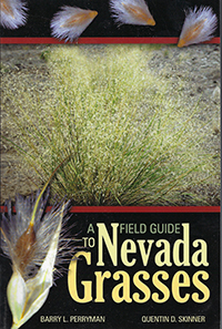 Nevada Grasses